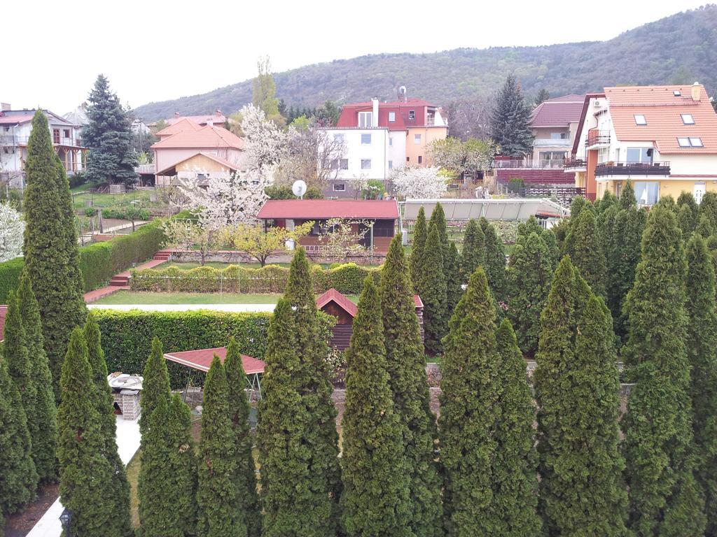 Agi Panzio Obuda Bed and Breakfast Boedapest Buitenkant foto
